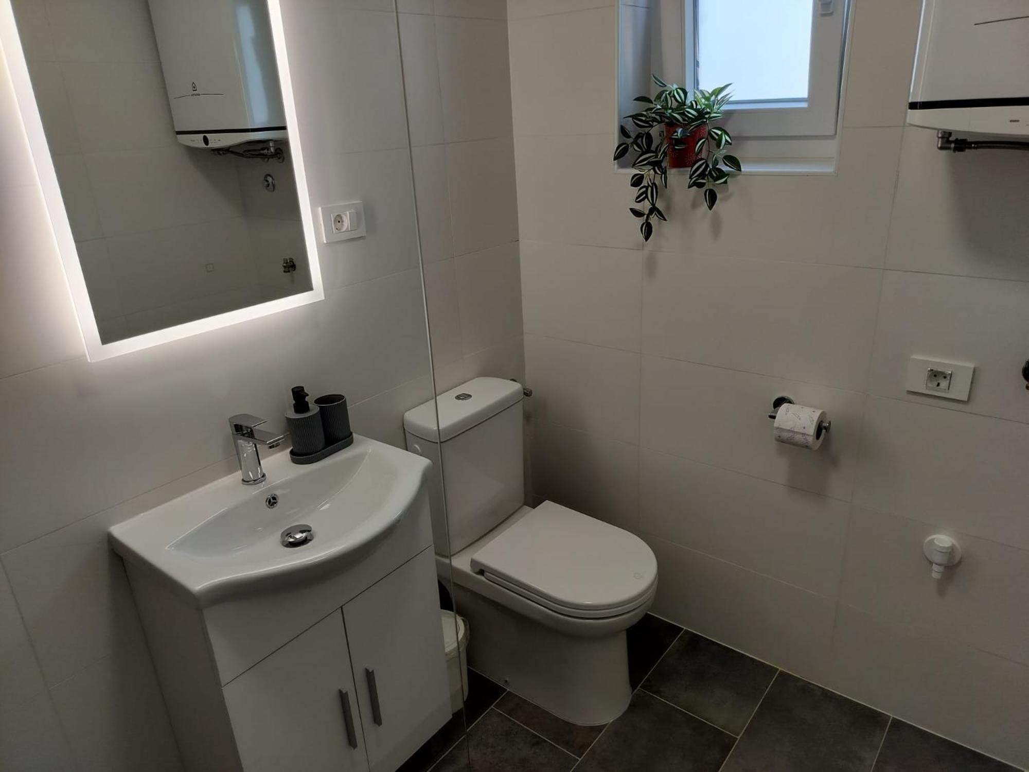 Apartment Tulip Premantura Dış mekan fotoğraf